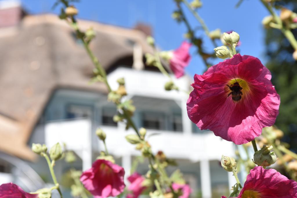 Romantik Hotel Fischerwiege Ahrenshoop Zewnętrze zdjęcie